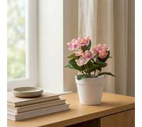 Candlelight Pink & Green 19Cm Pot With Artificial Plant In White Plastic Pot