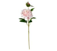 Candlelight Pink Peony Artificial Foliage (H) 610mm