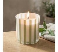Candlelight Sage Green Stripe Olive & Lemon Small Jar Candle