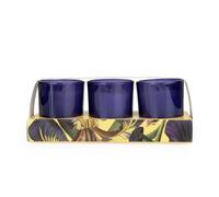 Candlelight Set of 3 Little Candles in Gift Pack for Any Occasion - Floral Fragrance Scented (Iris & Tonka Bean)
