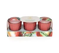Candlelight Set of 3 Little Candles in Gift Pack for Any Occasion - Floral Fragrance Scented (Mango & Honey)