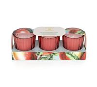 Candlelight Set of 3 Mini Votive Candles Mango & Honey in Pink Candlelight Pink