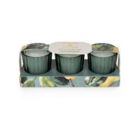 Candlelight Set of 3 Mini Votive Candles Pear Tree & Bay Leaf in Green Candlelight Green