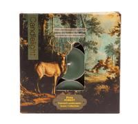 Candlelight Set Of 9 Tealights - Pine Forest