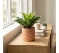 Candlelight Terracotta & Green 36Cm Aloe Pot With Artificial Plant In Terracotta Polka Dot Ceramic Pot