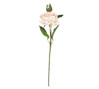 Candlelight Vintage Cream Peony Single Stem Artificial Flower (H) 580mm