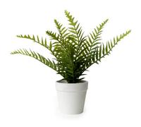 Candlelight White & Green 26Cm Fern Artificial Plant In White Plastic Pot