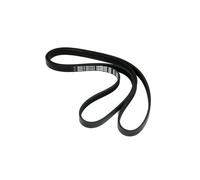 Candy 09201048 1233J5 Belling Cylinda Gasfire Hoover Iberna Kelvinator Otsein Rosieres Tecnik Teka Vyatka Zerowatt Washing Machine Belt