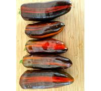 Candy Cane Chocolate Cherry Pepper Seeds - 10 Fresh Seeds