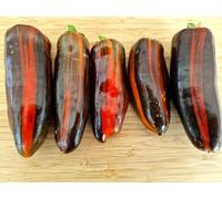 Candy Cane Chocolate Cherry Pepper Seeds - 10 Fresh Seeds Candy Cane Chocolate Cherry Sweet Pepper Seeds