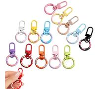 Candy Color Spring Keychain, Hooks Key Ring, Colorful Spring Key Chain Hooks, Metal Key Ring Clips with O-Rings and Clasps for DIY Jewelry/Bag Toy Accessories (13PCS)