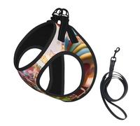 Candy Land Print Dog Harness and Leash Set,Breathable Adjustable Escape Proof Vest for Cats Dogs