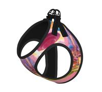 Candy Land Print Reflective No Choke Pet Vest Harness,Adjustable Soft Padded Dog Harness With Easy Control Handle