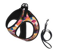 Candy Land Print Small Dog Cat Pet Leash Vest Harness, Reflective Vest For Outdoor Walk Hike