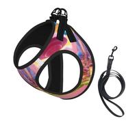 Candy Land Print Small Dog Harness with Leash Set, No Escape Easy Walk Puppy Harnesses for Training Walking