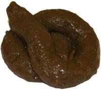 Candy Lane Sticky Soft Fake Dog Poo - Turd Novelty Practical Joke Prank Fun - This Sticky Fake Poo Makes An Ideal Novelty Present And Is Perfect For Party Favours