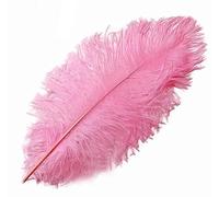 Candy Light Pink Pink Ostrich Feathers x 5 (Approx 5 to 7 inches) Crafts, Sewing, Costuming, Millinery etc