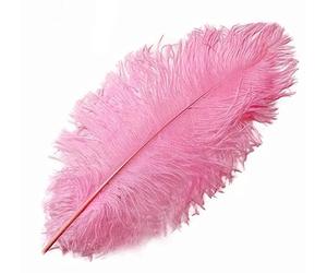 Candy Light Pink Pink Ostrich Feathers x 5 (Approx 5 to 7 inches) Crafts, Sewing, Costuming, Millinery etc