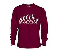 Candymix - Welsh Corgi Evolution of Man - Unisex Sweatshirt Mens Ladies Sweater Jumper Top, Size Large, Colour Burgundy