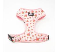 candyPet® - Adjustable Dog Collar and Chest Harness, Neoprene and Breathable Mesh, Watermelon, M