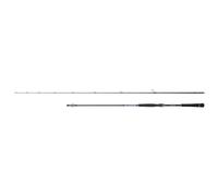 Cane boat Hearty Rise Salt Monster Sw 10-45g Vert 2,43 m