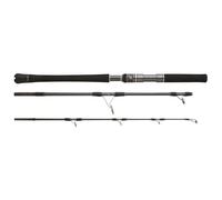 Cane boat Hearty Rise Skywalker Jigging 220g Noir 1,63 m