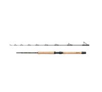 Cane boat Penn Regiment IV Pro 30-50lb (x2) Argenté 2,10 m
