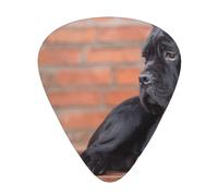 Cane Corso Big Black Dogs Pets,12 Pcs Guitar Pick,3 Different Thickness Plectrums for Acoustic Guitar Bass Ukulele (0.46mm 0.96mm 0.71mm)