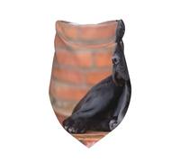 Cane Corso Big Black Dogs Pets,Bib Scarf Triangle Hood Adjustable Pet Scarf Washable Hood Suitable for Small, Medium and Large Dogs and Cats