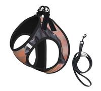 Cane Corso Big Black Dogs Pets,Pet Harness,Adjustable Reflective Dog Harness,Pet Leash Vest,L