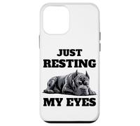 Cane Corso Cane Snorso Sleep Case for iPhone 12 mini