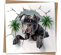 Cane Corso Greeting Card - Funny Dog Coming Out of Wall Greetings Birthday Card