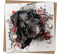 Cane Corso Greeting Card - Funny Dog Face Greeting birthday Card