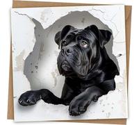 Cane Corso Greeting Card - Funny Dog Head Through Wall Greeting Birthday Card