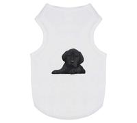 'Cane Corso Puppy' Pet Dog/Cat T-Shirt (PT00096793)