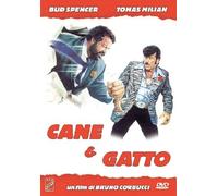 Cane & Gatto