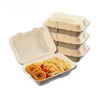 Caneeco 50-Pack Bagasse Sugarcane Takeaway Meal Boxes 9"x6" Clamshell Food Containers TUV Home Compostable Certified, Unbleached, PFAS Free & Sturdy for Hot & Cold Food, Restaurants, BBQs Parties
