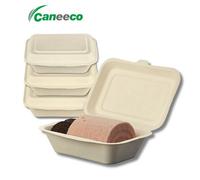 Caneeco 7X5 Biodegradable Takeaway Boxes Sugarcane Clamshell Food Containers Eco Friendly, Compostable & Sturdy 50 Pack