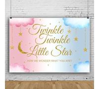 Canessioa Twinkle Twinkle Little Star Backdrop How We Wonder What You are Gender Reveal Background Boy or Girl Pink Blue Clouds Gold Glitter Stars and Moon Shower Party Studio Props 7x5ft