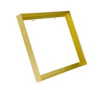 CANFRAVAS Canvas Frame 24x24, DIY Metal Canvas Floating Frame, Canvas Floater Frame for 0.6"-0.9" Deep Canvas Painting (Light Gold,24"x24")