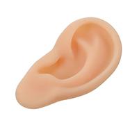 CANIGHT 1pc Ear Model for Education Realistic Left Ear Simulation for Anatomy Display for Students and Healthcare Professionals Teaching Tool