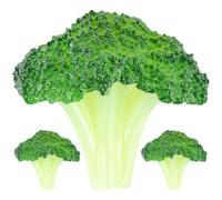 CANIGHT 3pcs Lifelike Artificial Broccoli Models Made of Sturdy Pvc, Not Easily Deformed and Easier to Care, for Hotel Decoration or Art Training Institution Display