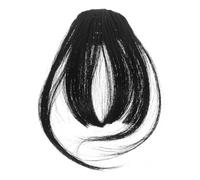 CANIGHT Air Bangs Clip In Human Hair Extensions for Women 2pcs Natural Seamless Fake Bangs Hairpieces for Daily Wear