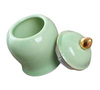 CANIGHT Ceramic Tea Canister with Lid 70Ml Airtight Storage Jar for Kitchen Use and Home Display