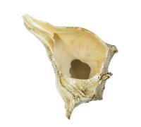 CANIGHT Household Resin Flower Pot Conch Type 1Pc Ideal for Balcony and Courtyard Ornament