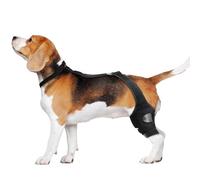 Canine Leg Brace - Back Leg Support Wrap | Flexible, Non-Slip Dog Knee Sleeve | Adjustable Strap for Secure Fit | Designed for Joint Stability, Post- Recovery, Injury Prevention, and Enhan