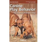 Canine Play Behavior: The Science of Dogs at Play