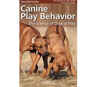 Canine Play Behavior: The Science of Dogs at Play