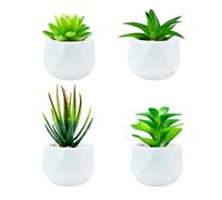 Canirologas Artificial Plants in Mini White Ceramic Pots - Indoor Outdoor Simulation Succulents - Green Decor for Bedroom Aesthetics, Desktop, Living Room, Bathroom, Office (4)