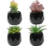 Canirologas Artificial Plants Indoors, Black Ceramic Potted Ornaments, Small Green Succulents Decor for Bedroom Aesthetic, Faux Desk Plant for Bathroom,Office Decoration (frosty 4pcs)